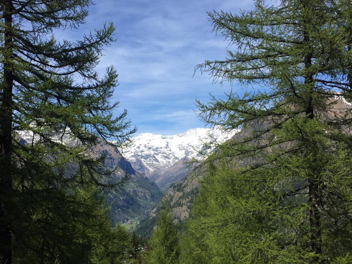 Baite Cialvrina Villa Gressoney-Saint-Jean Exterior photo